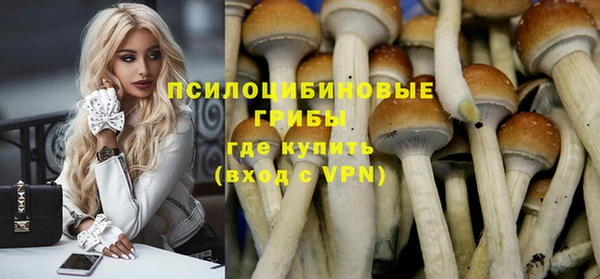 ешки Алексин